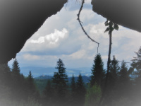 Zwischen Bergwald und slowenischem Karst